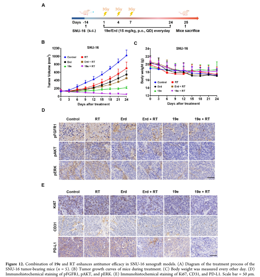 【JMC】成都大学赵立峰/四川大学张力丹:双功能FGFR抑制剂联合放疗诱导焦亡,重塑免疫微环境实现强效抗肿瘤 - 知乎