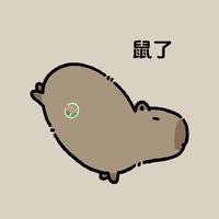 Zhihu profile picture for @rippp