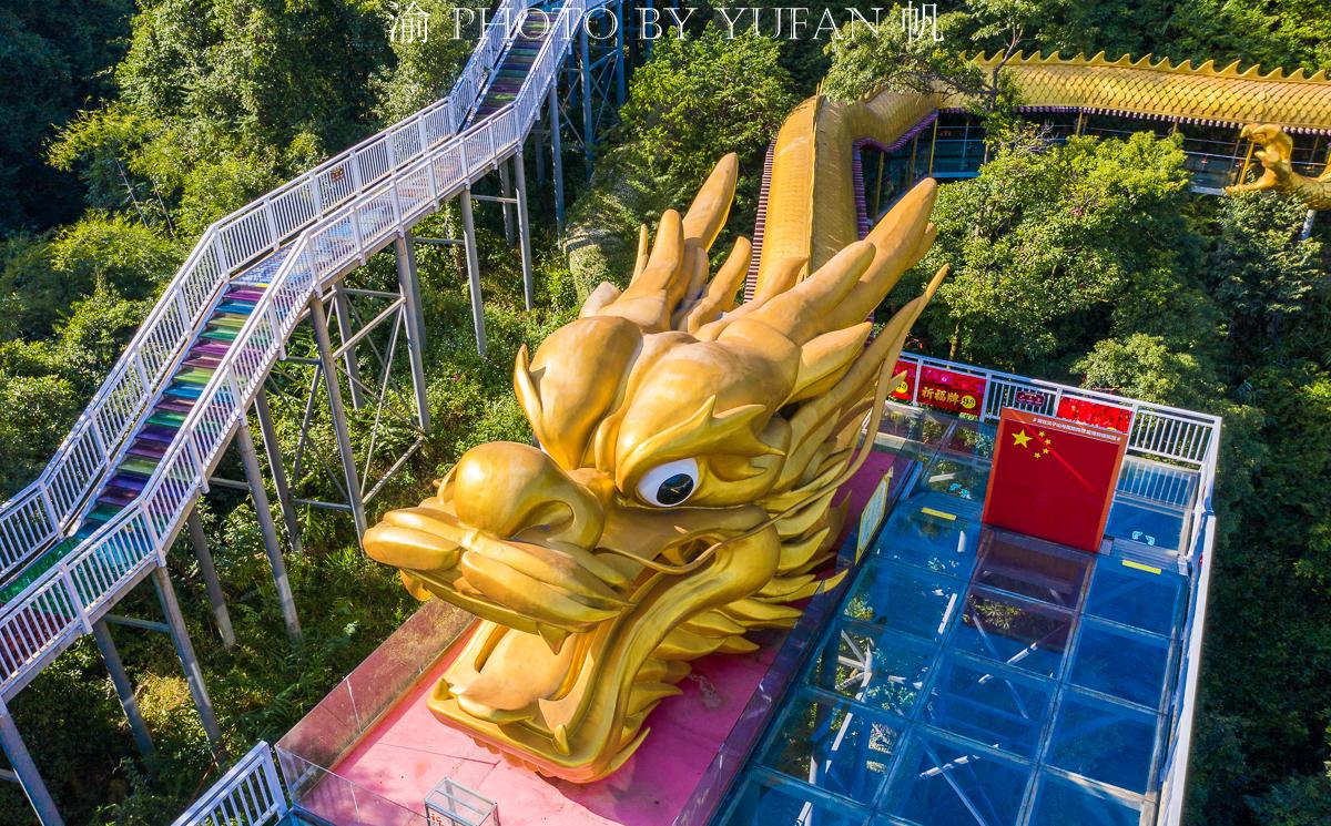 清远大山中发现世界最长黄金巨龙名为添子龙年轻夫妇特别喜欢