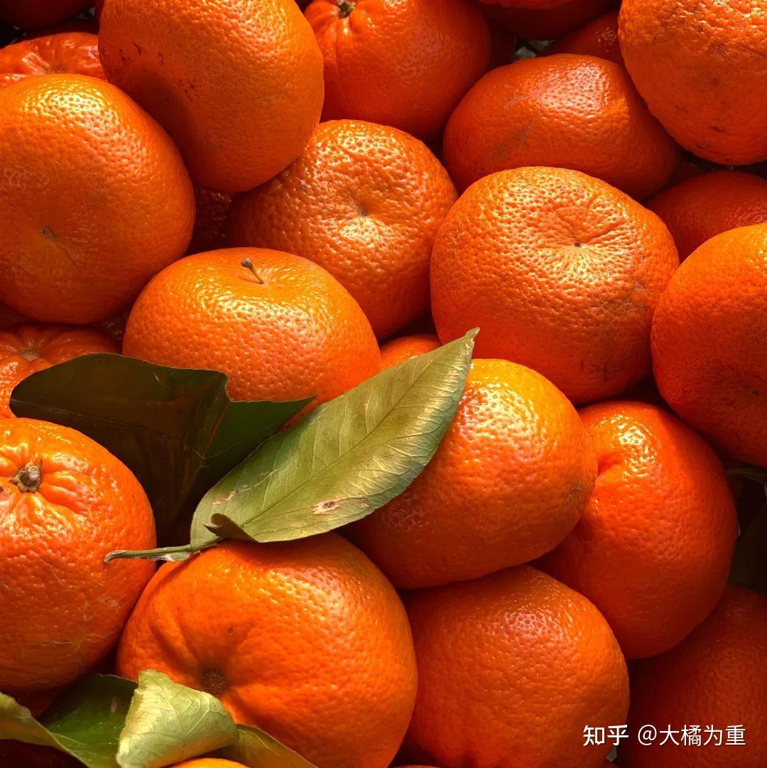 柑橘果实生长发育过程与营养管理小课堂,资深农技师教你柑橘如何保果! - 知乎