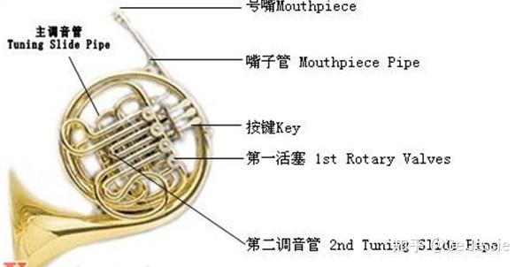 一,圆号的种类,结构与特点
