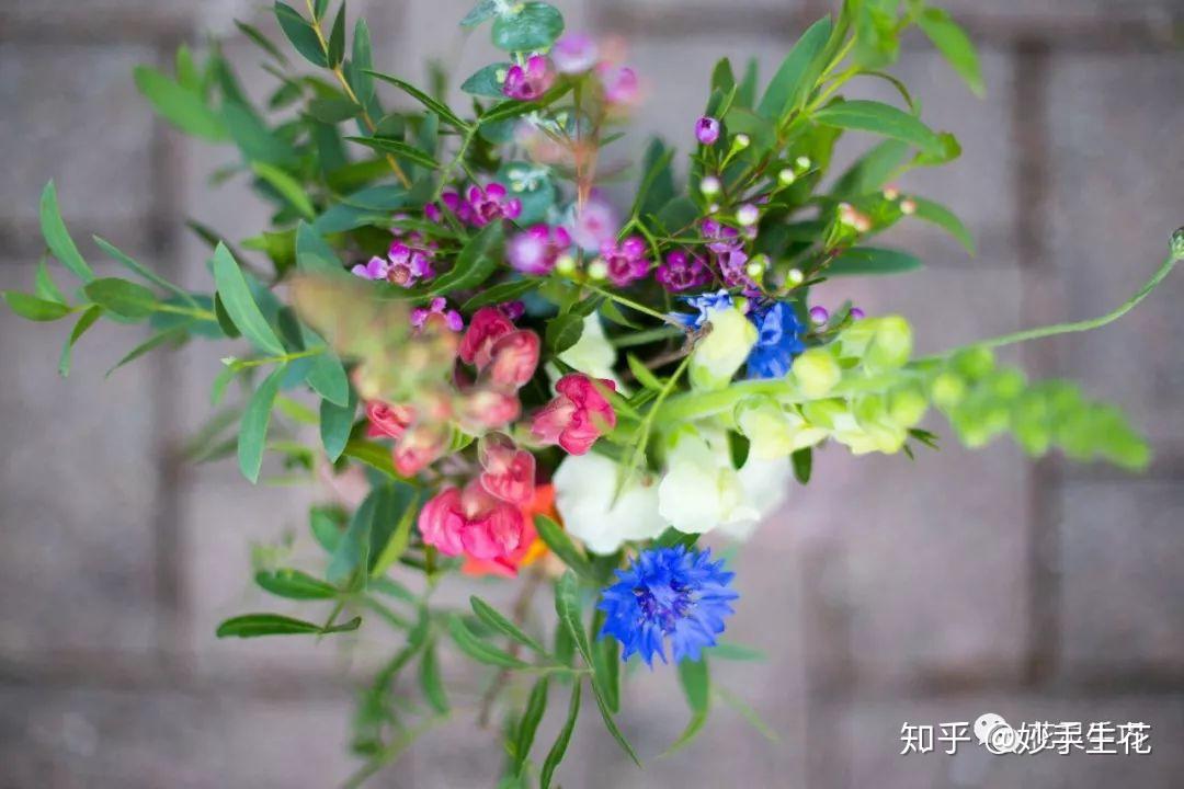 10种常见花束配叶介绍 - 知乎