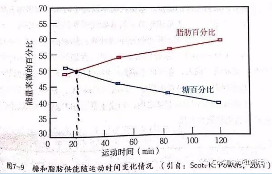 有氧运动消耗脂肪比例-第2张图片-678体育知识