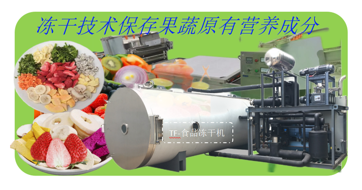 果蔬脆片冻干生产线和大型食品冻干机 - 知乎