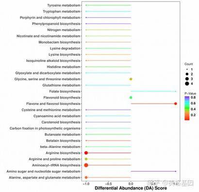 代谢组分析流程优化，更全面深入的数据结果为科研赋能！ - 知乎
