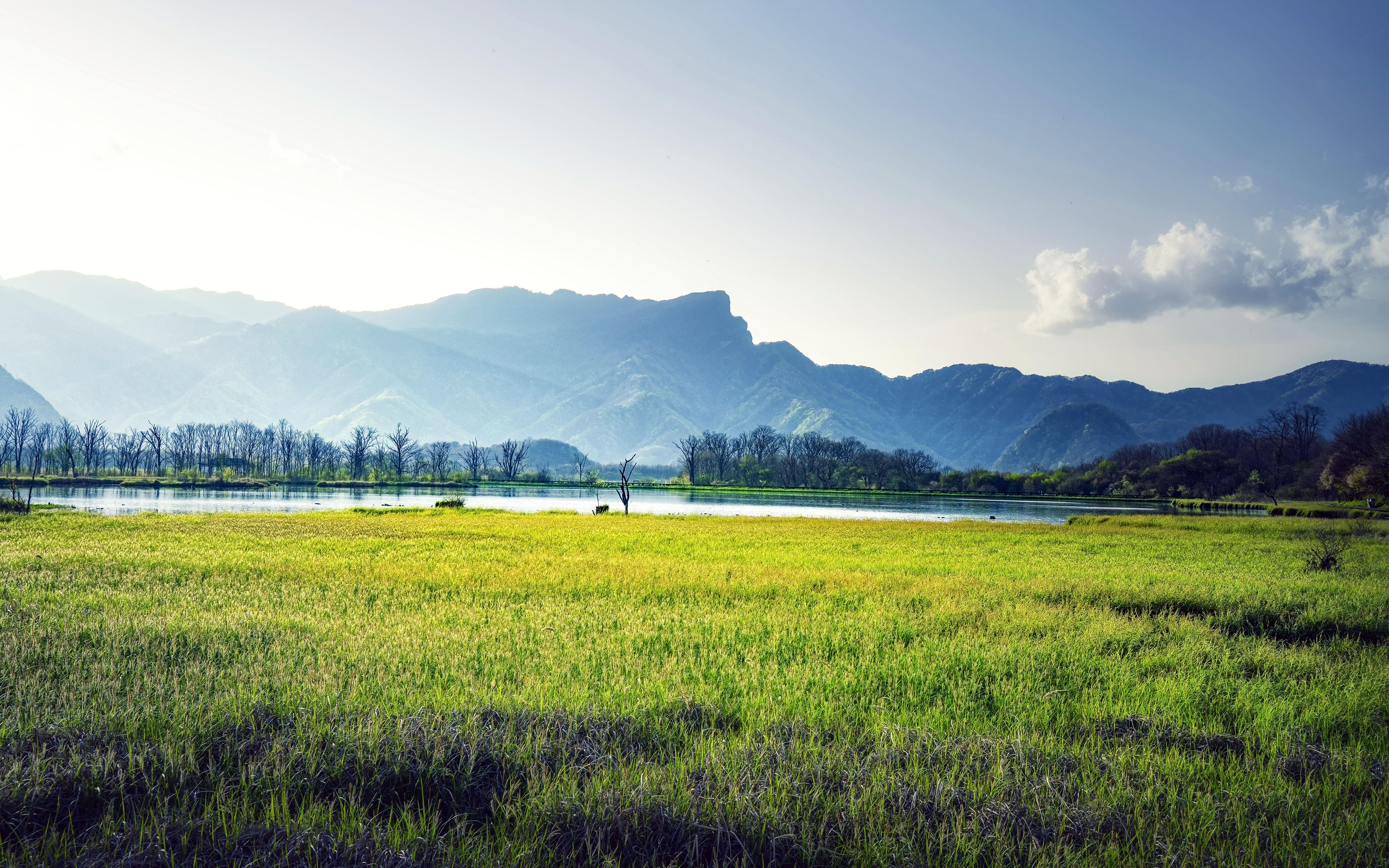 有没有清晰度超高的4k,8k壁纸? - 知乎