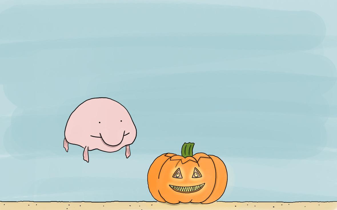 v2-5c2726c92cc3df3dfb6e5b2e36e45360_1440w.jpg?source=172ae18b