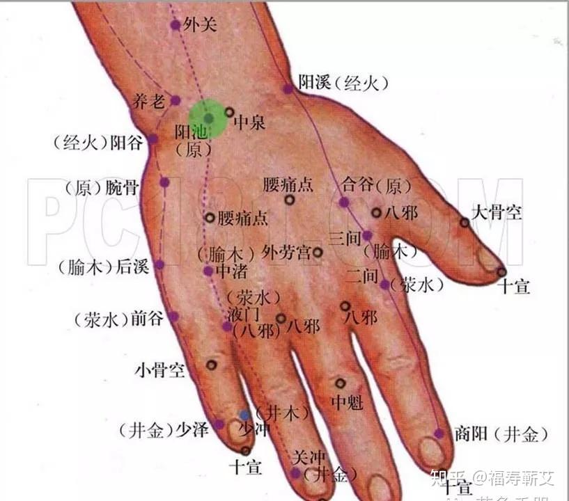艾灸美容美体,效果好记得分享哦! - 知乎