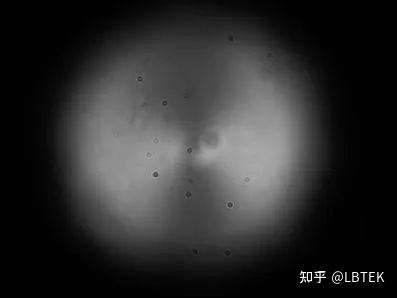 关于涡旋波片的6个常见问答 - 知乎