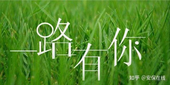 风雨同路安保在线1周年庆感恩有你