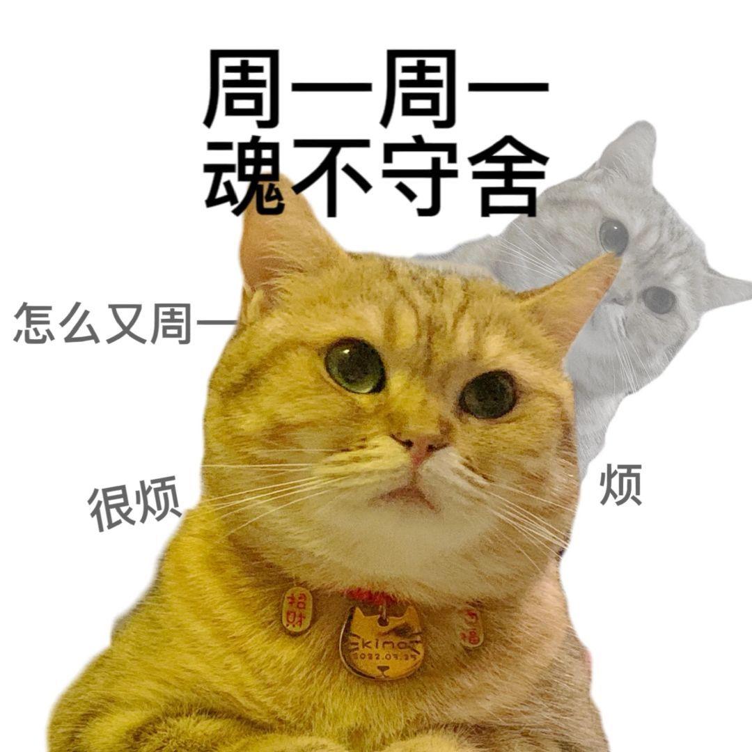 分享一组职场表情包 - 知乎