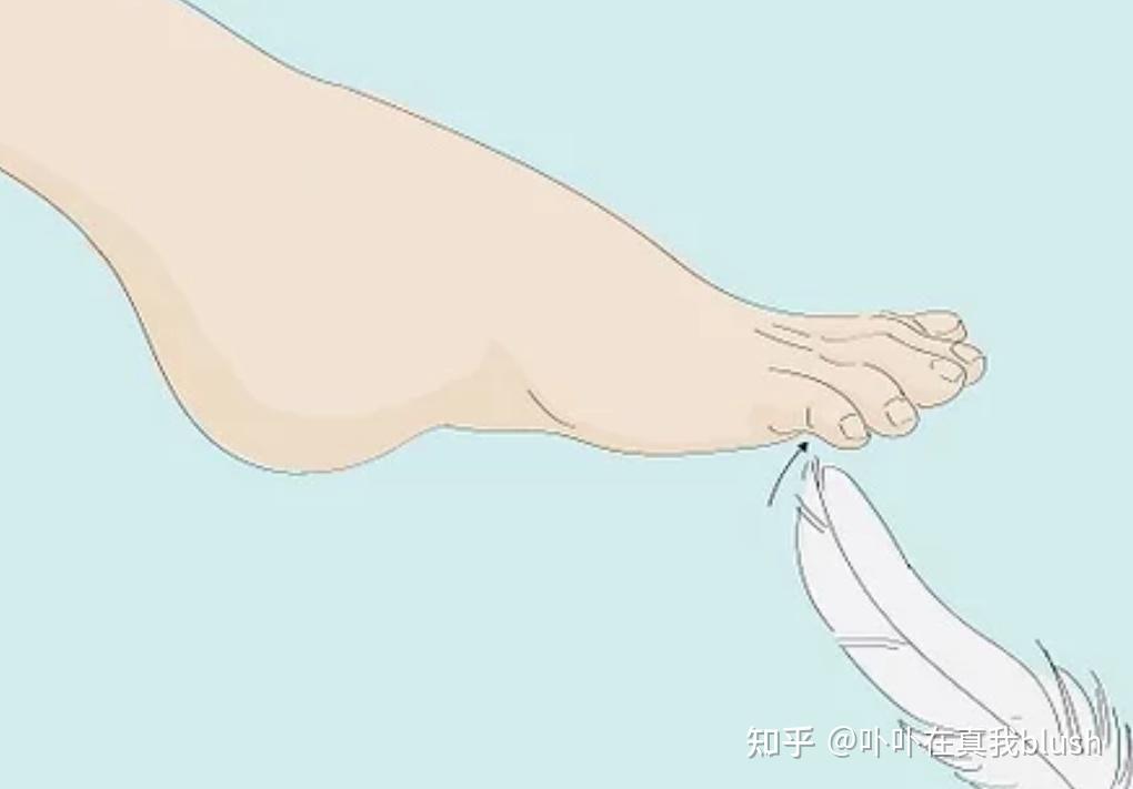 女生被挠脚会很痒吗? - 知乎