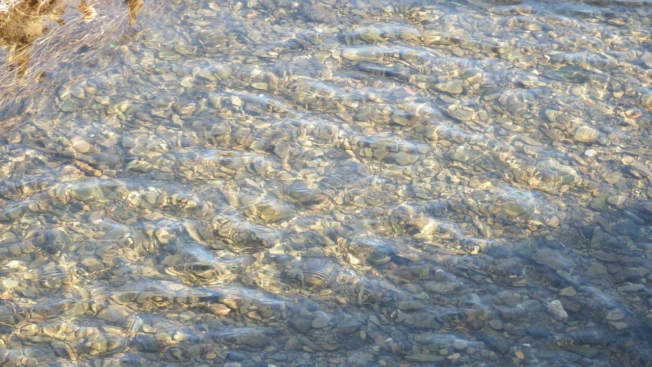 4. 太阳能板去垢法