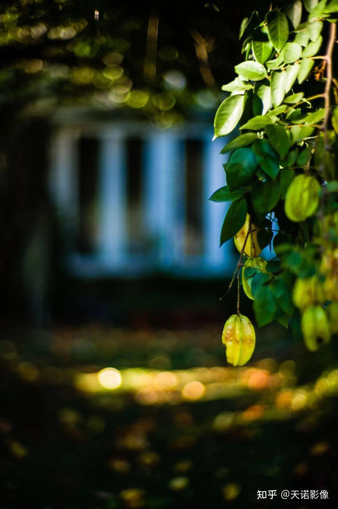 徕卡m11 | 6000万像素的"德味"什么样?