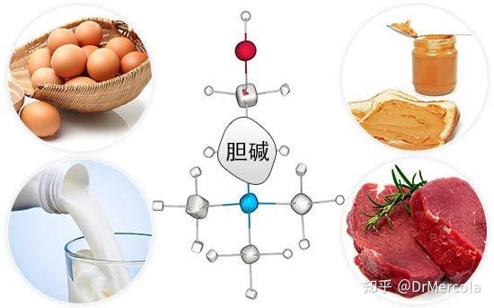 如果您已经怀孕,确保饮食中包含足量富含胆碱的食物似乎才是明智的