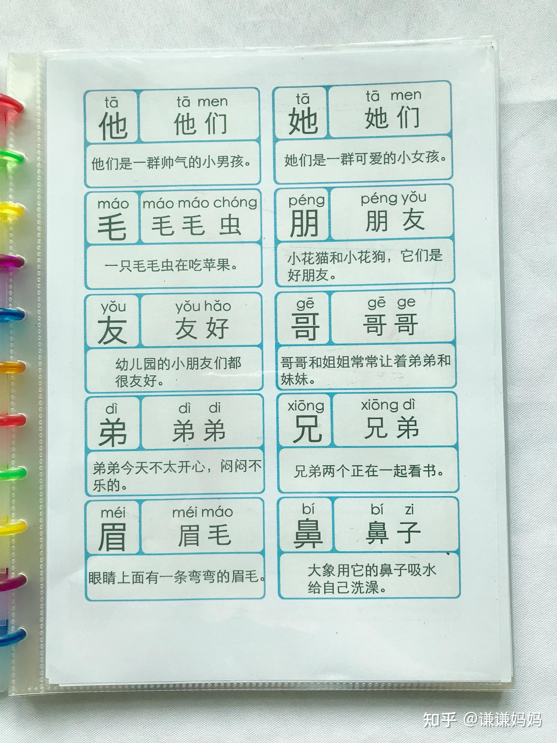 幼兒識字啟蒙洪恩識字1300字卡閱讀繪本