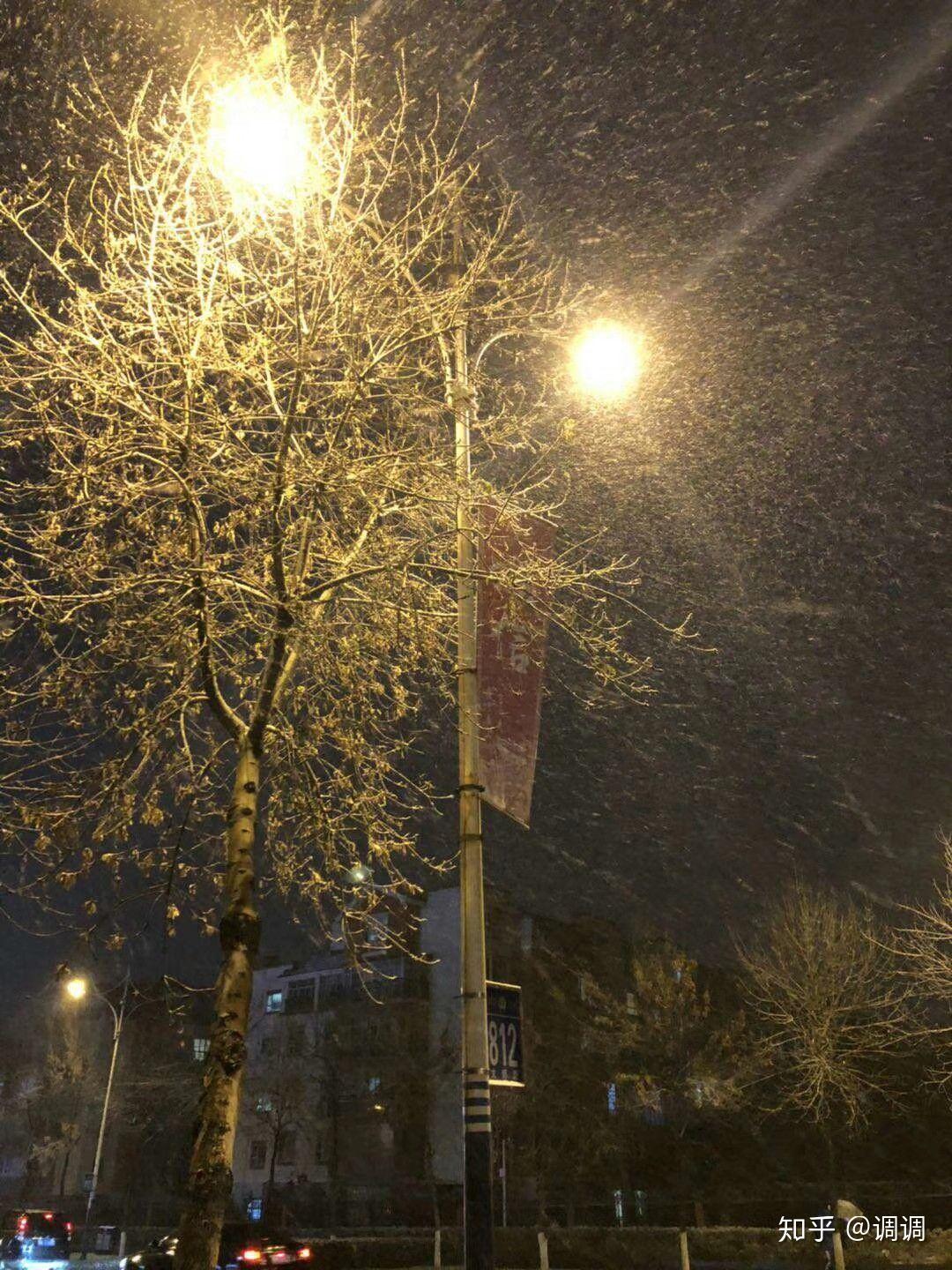 什么时候过冬天文案 v2-5c50999a43d8496c5df2d2cbb026a98c_r.jpg