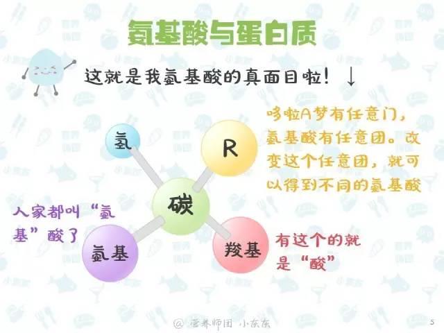 v2-5c5506cdbaeb9eb1fd6d29eb89ce51c8_r.jpg