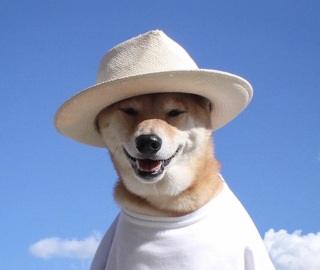 有没有什么惊艳的微信头像?-特别惊艳到人的微信头像