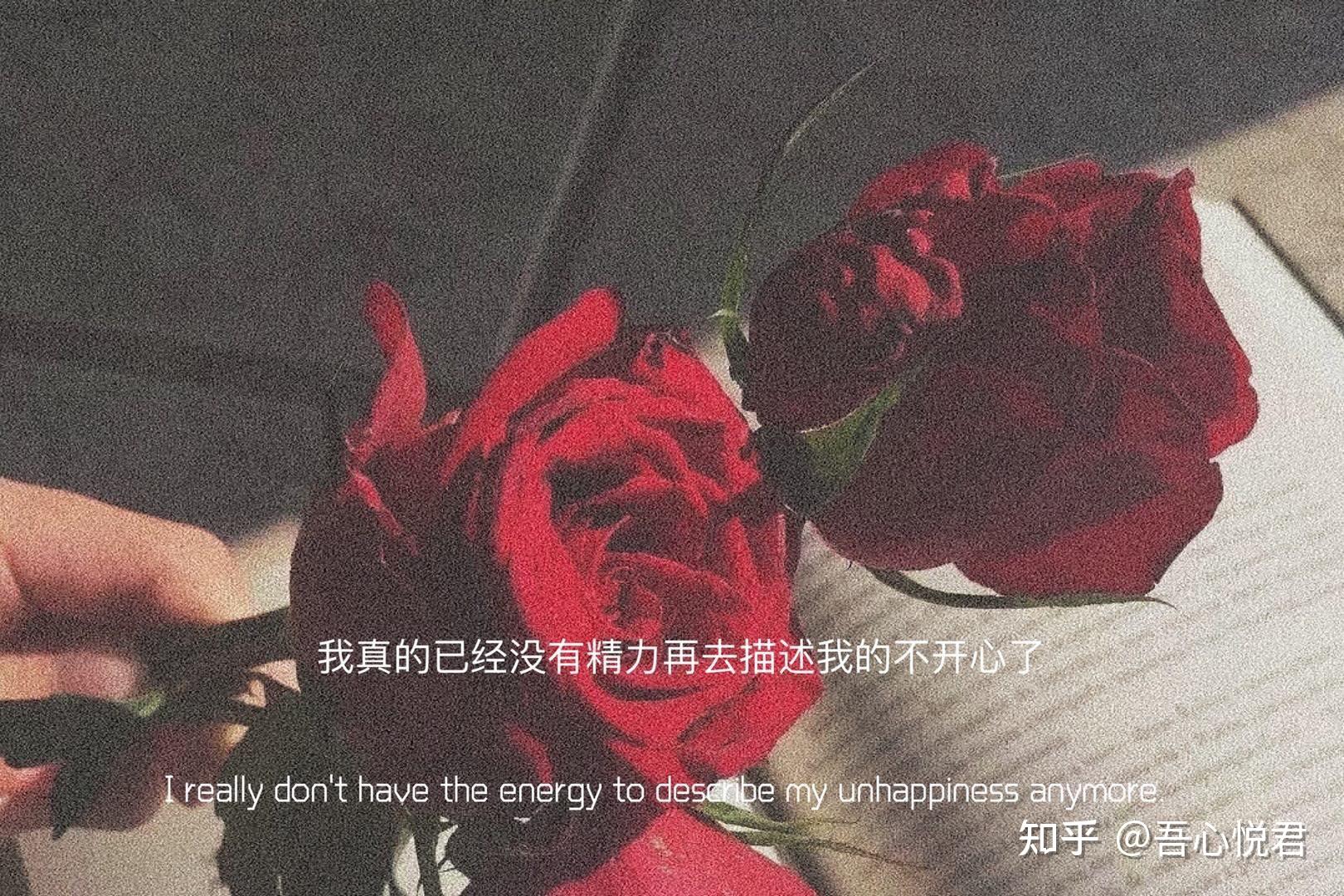 有哪些表示心情不好的文案