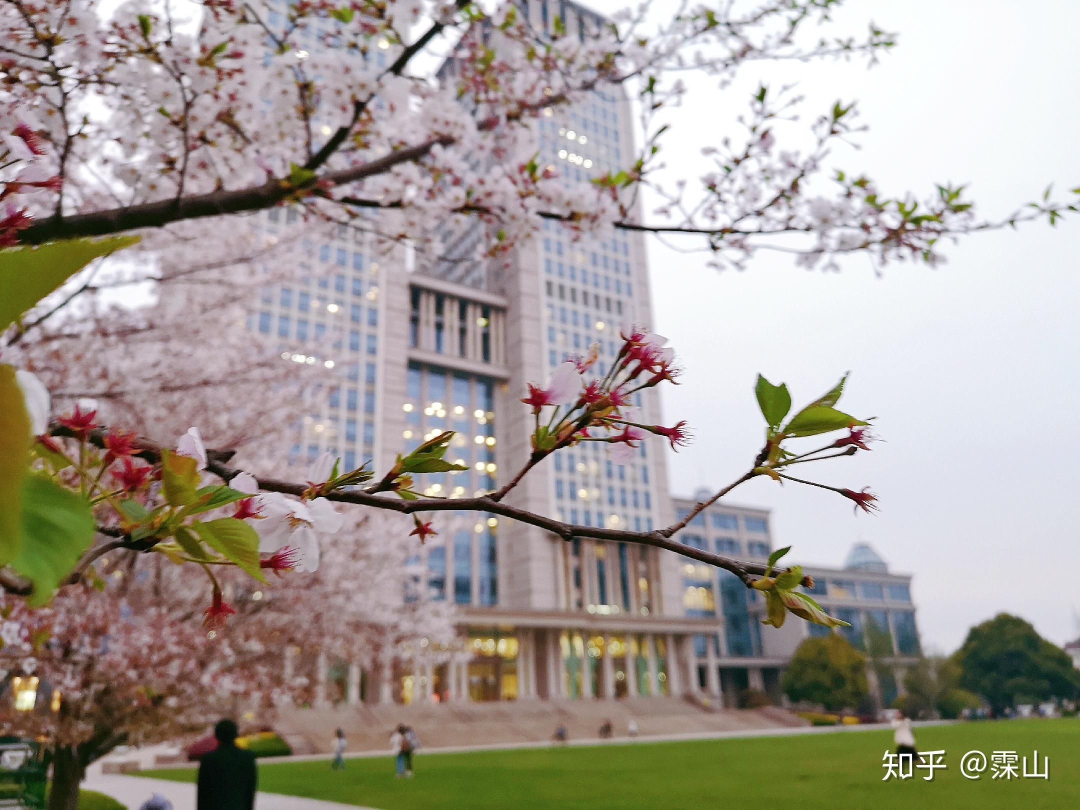 复旦大学有哪些特色建筑