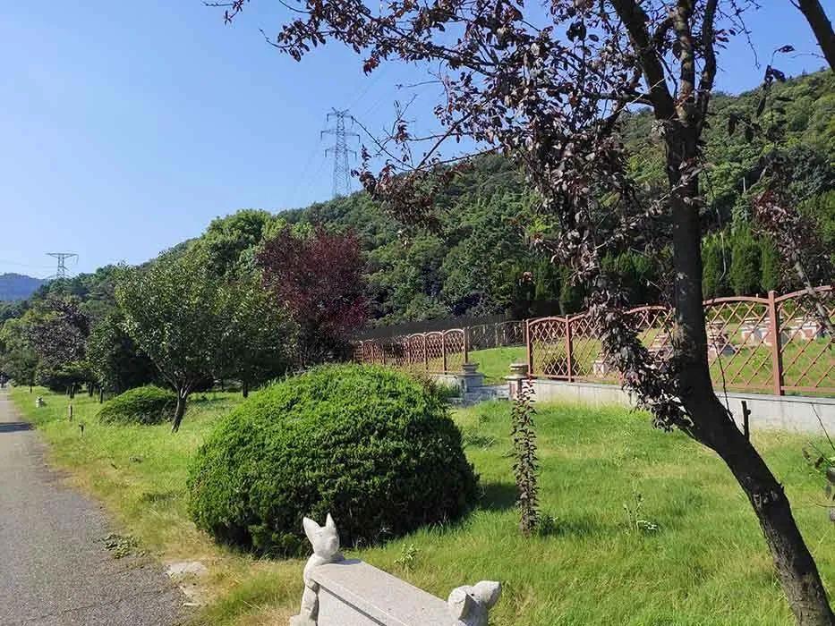 49800元起七子公墓地址:苏州市吴中区宝带路七子山