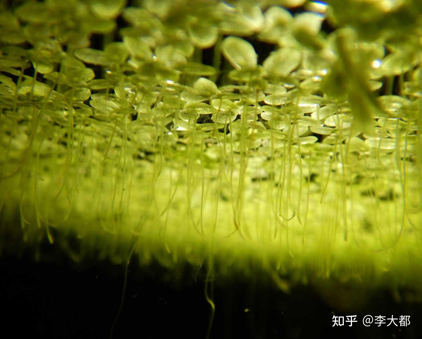 03 漂泊不定的象征