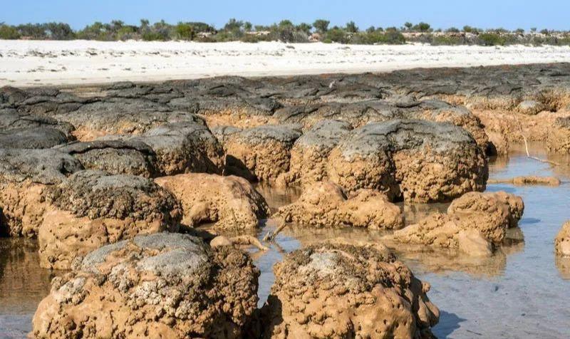 经典地质图集彻底搞明白碳酸盐岩