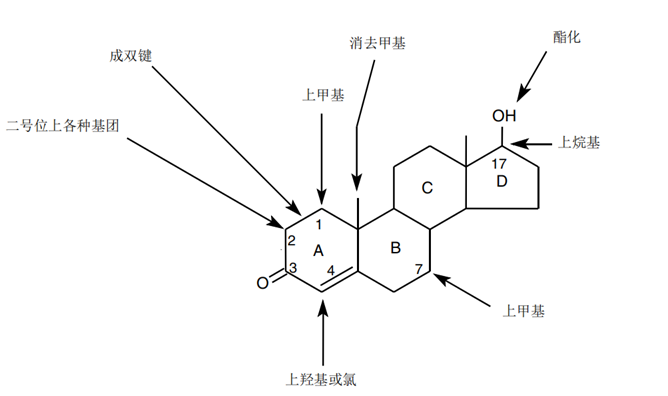 v2-5c73de7c22113cf4149b8495c9e34918_r.jpg