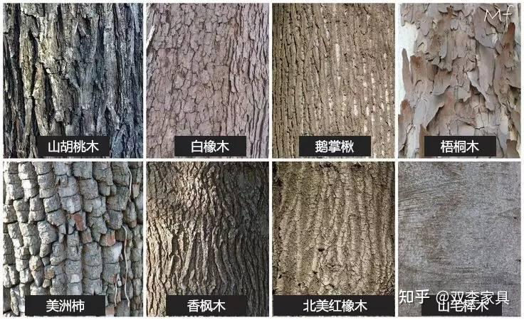 看得懂木材,才做得好家具! - 知乎