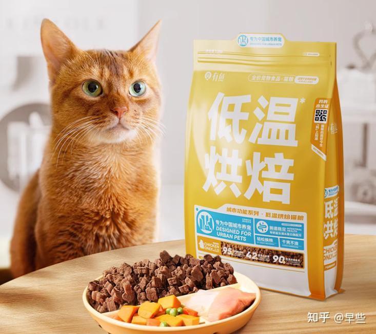 猫咪不同年龄段怎么选猫粮？推荐5款比较实惠的猫粮 - 知乎