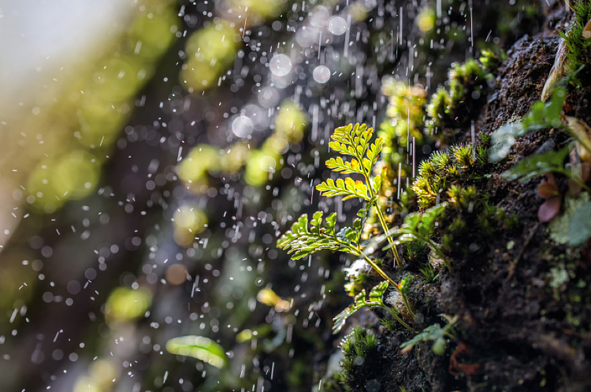 特仑苏自然科学课堂风雨雷电才是大自然的摇滚