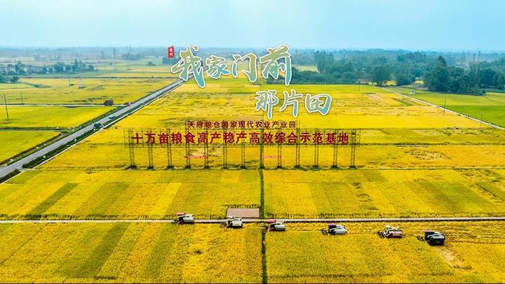 【我家门前】“藏粮于地、藏粮于技”， 全力推进“天府粮仓”核心示范区建设 - 知乎