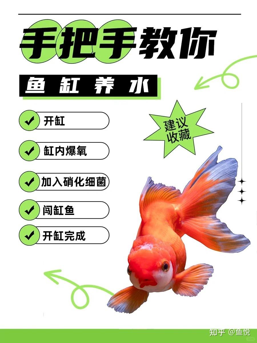 养鱼的水应该怎么养? - 知乎