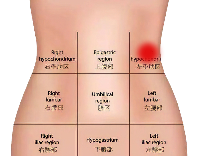 腹部:胰腺疾病心绞痛,心肌梗死,大叶性肺炎,胰腺癌等也会表现该部位的