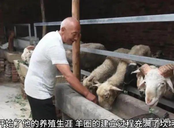 自己年岁越来越大了,地里的农活已力不从心,老伴身体不好,儿子小刘还