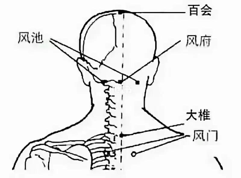 风池风府位置图图片