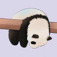Zhihu profile picture for @together