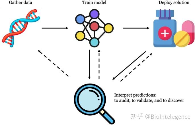 可解释性的机器学习在基因组学进展和挑战