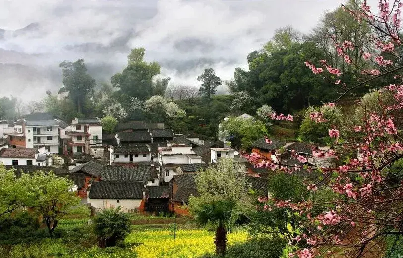 怎么坐车去婺源最方便 v2-5cc077669b1f61fdb4e952b8ae93f56c_r.jpg