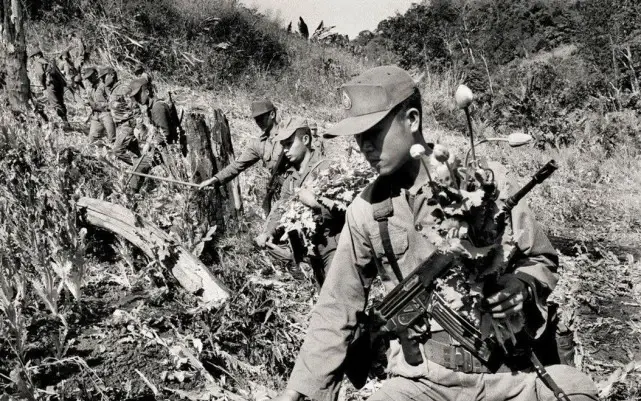 金三角的开山鼻祖——李国辉