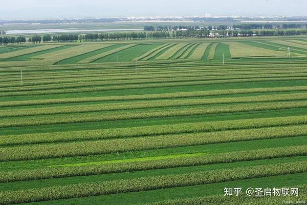 高标准农田在地理位置上的差异 - 知乎