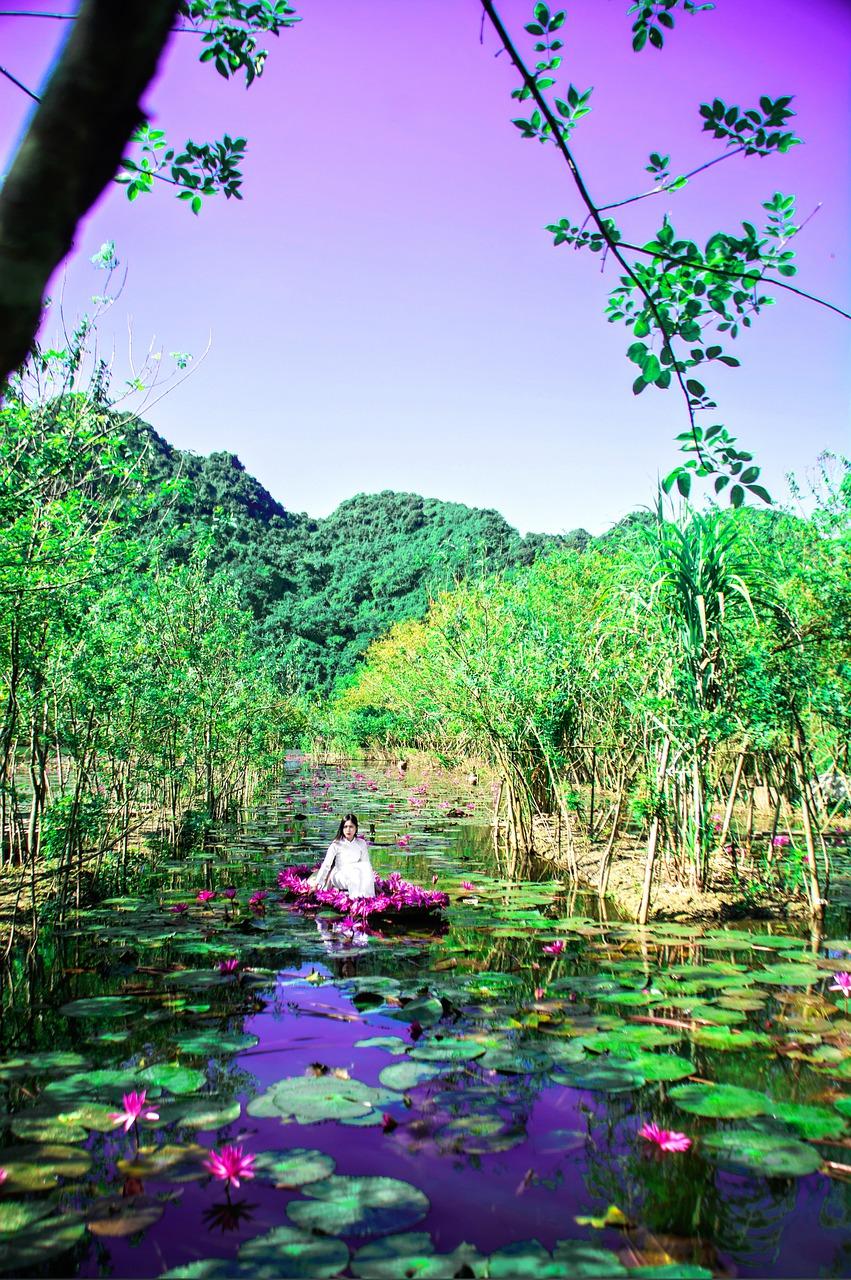 6. 沈香木价格走势