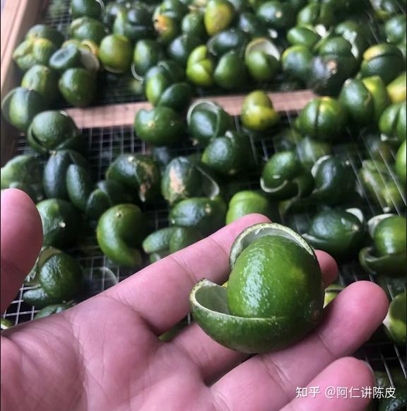 探索新会青皮的多样面貌:不同时间段的对比分析 - 知乎