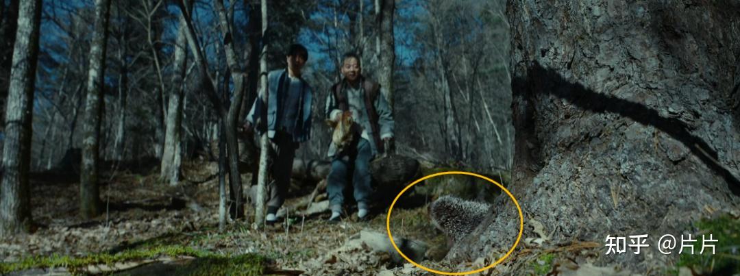 这票房冠军,我真夸不下去