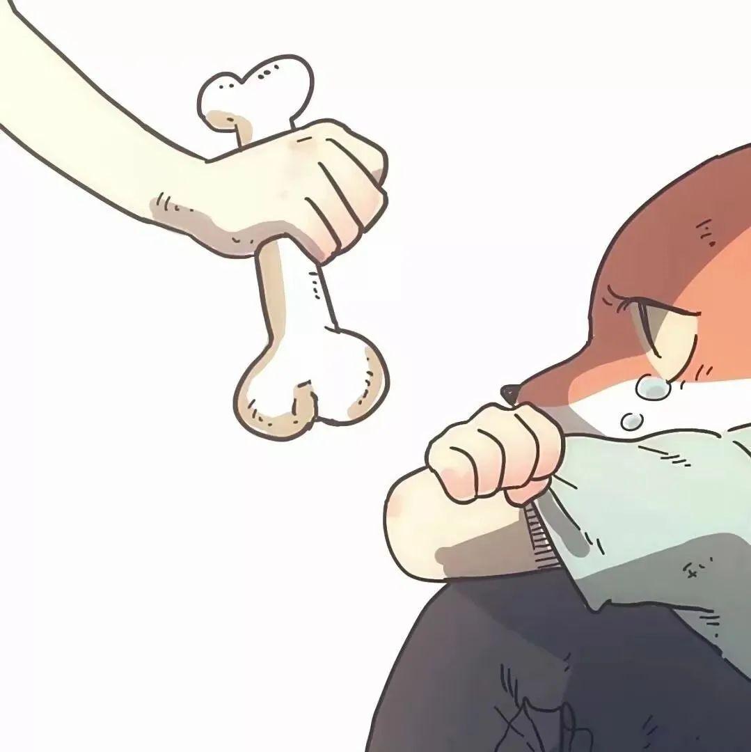 求废柴狐阿桔苏莎和奥菲的情头! - 知乎