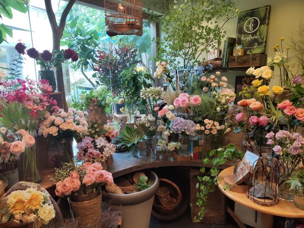 香港花市 知乎 香港花市 知乎