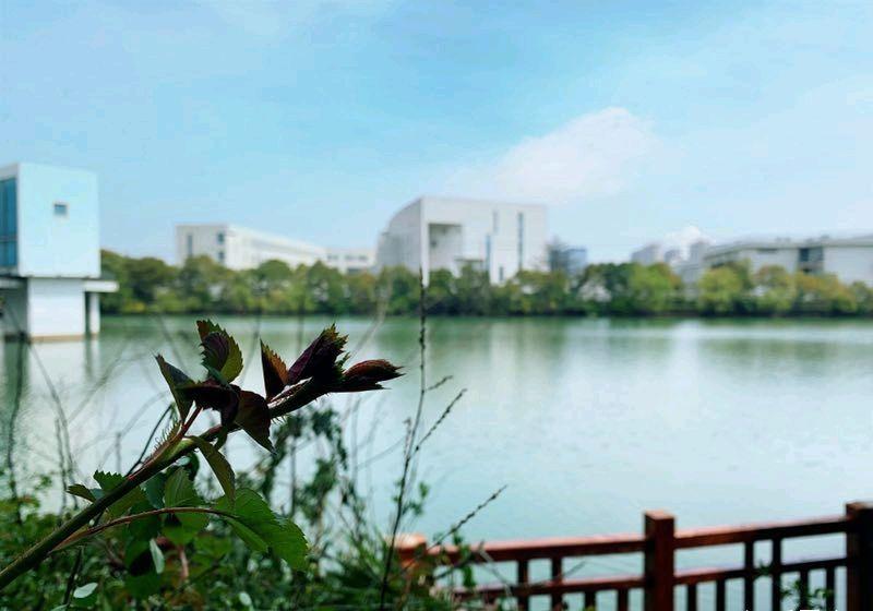 苏州大学文正学院是不是野鸡大学? - 知乎