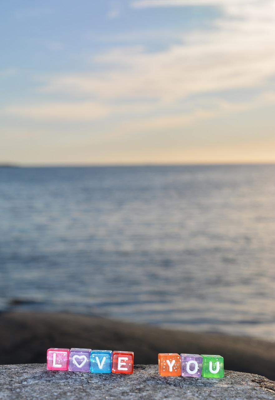 您的辛勤付出是我前行的力量