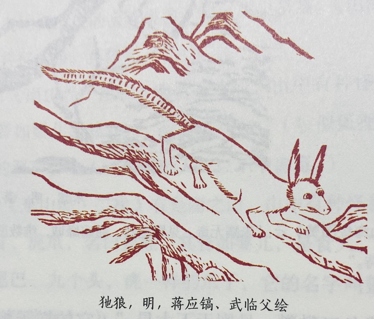 被《无忧渡》刷屏后，我扒出了《山海经》里的 5 种神秘狐妖！ - 知乎
